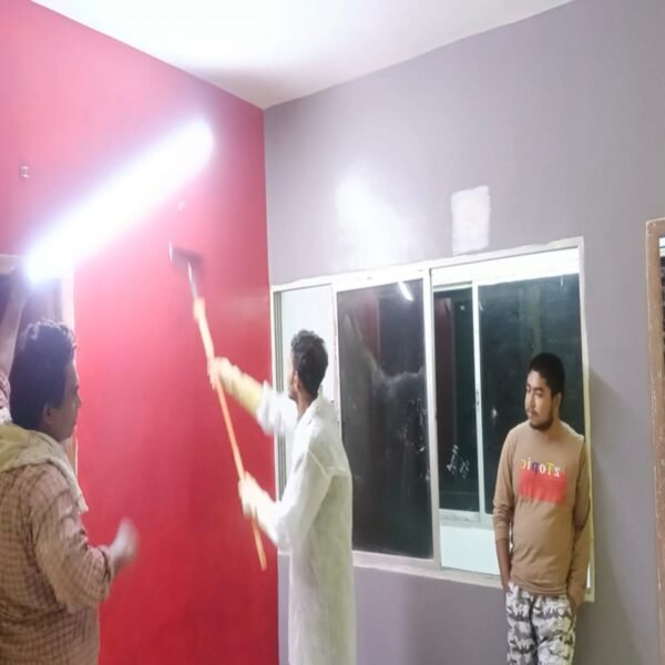 Dapple Design Asian Paints - Image 3